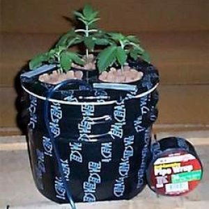 indoor hydro 04