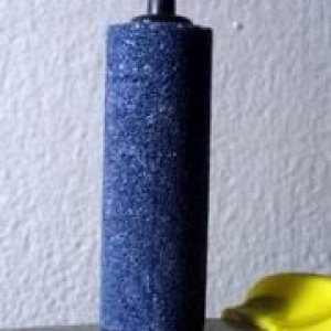 thumb IMG 0015