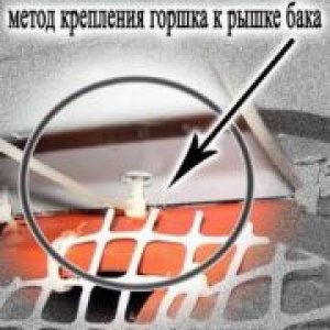 thumb IMG 0071