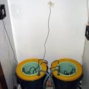 thumb IMG 2158s