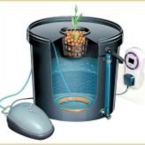 thumb DWC1