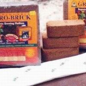 substr 02