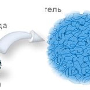 gel1