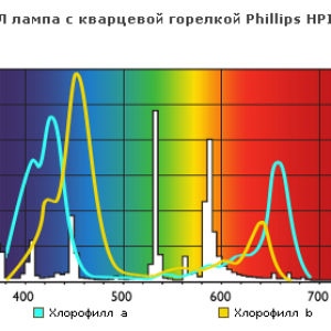 2011 12 19 145913