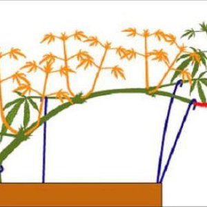 lst4