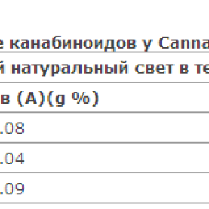 Безымянный