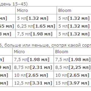 Безымянный