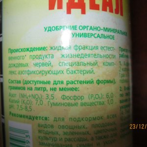 Новый идеал