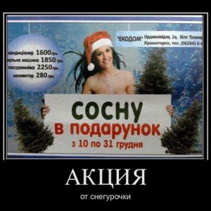 44714eeed9ed8995c
