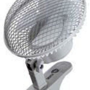 bfan1
