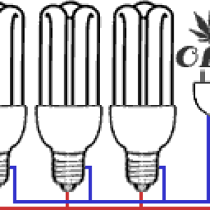 CFLcon