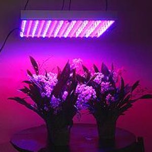 ledwiki2