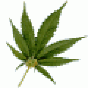 rollit