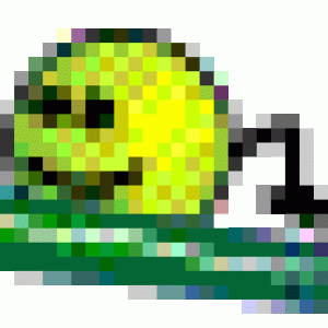 lodka