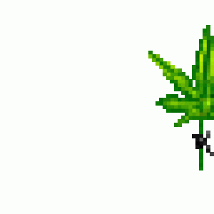 lalalaweed