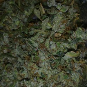 авто АК47 от Grass O Matic