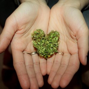 Jack Herrer