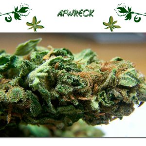 Afwreck