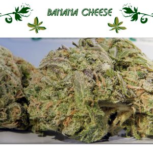 banana cheese
