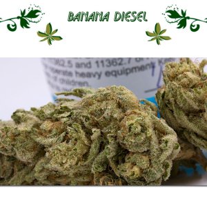 Blue Mystic