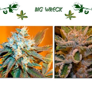 Big Wreck