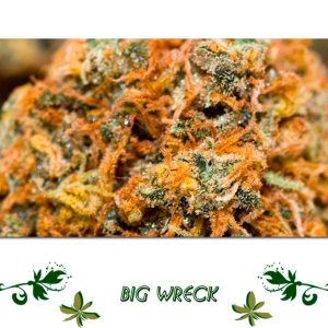 Big Wreck сорт