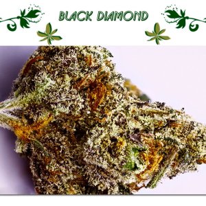 Black Diamond