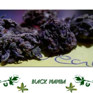 Black Mamba сорт