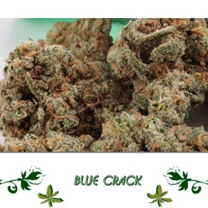 Blue Crack
