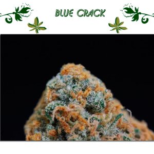 Blue Crack сорт
