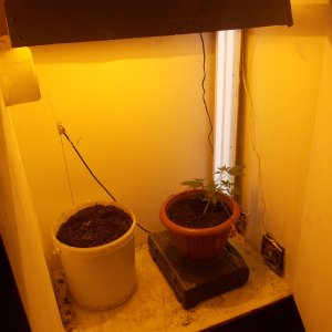 DSCN6047