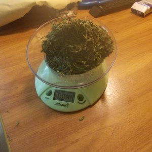 DSCN5970