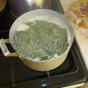 DSCN5973