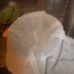 DSCN5974