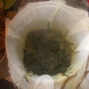 DSCN5975
