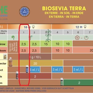 Ghe biosevia terra