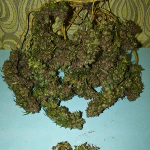 Харвест ч2 25