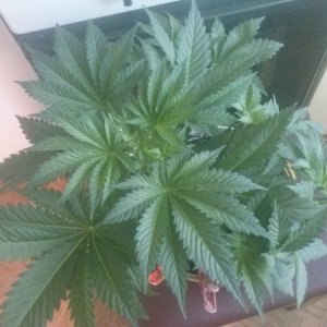 CAM02974