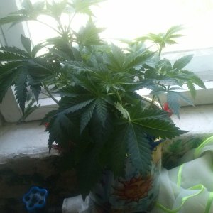 CAM02998
