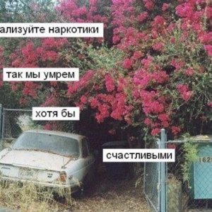 Лигализуйте коноплю.