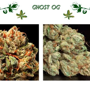 Ghost OG
