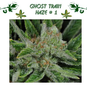 Ghost Train Haze # 1