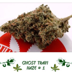 Ghost Train Haze # 1 сорт