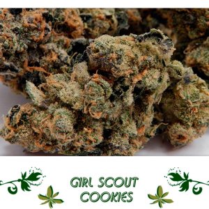 Girl Scout Cookies сорт
