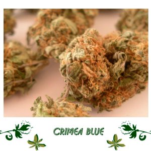 Crimea Blue