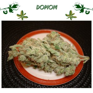 Dopiom
