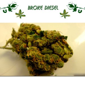 Broke Diesel
