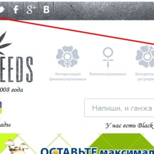Скайп GanjaSeeds