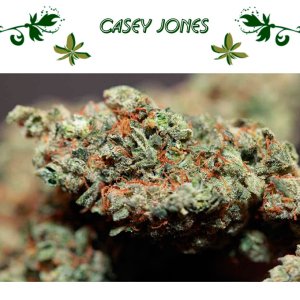 Casey Jones
