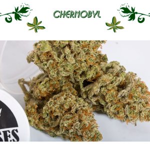 Chernobyl